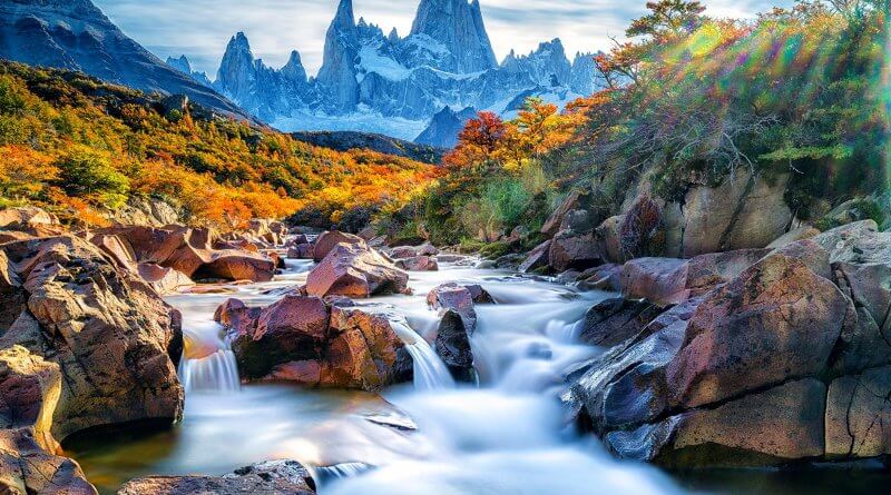 List of Argentina Endangered Species of Animals|Plants|Birds
