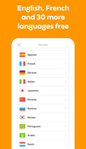 Best educational apps for Android 2021; Duolingo