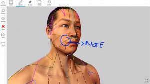 best medical apps for pc in 2021; Visual Acupuncture 3D - Human