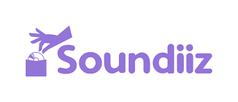 Download Songs From Spotify without Premium- Soundiiz