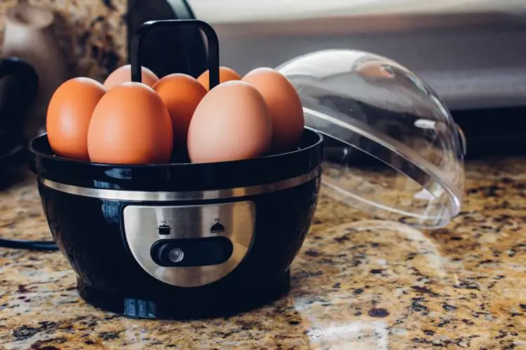 Best Gadgets For Apartments - Egg Cooker