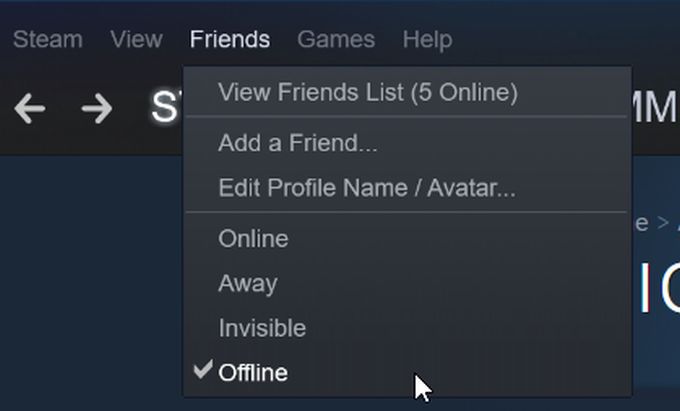 How To Appear Offline On Steam - Offline option
