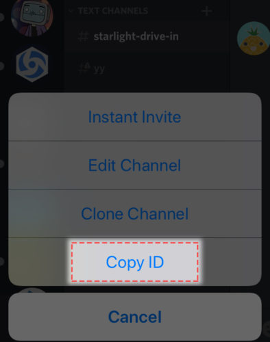 How To Find Your Discord ID On iPhone
