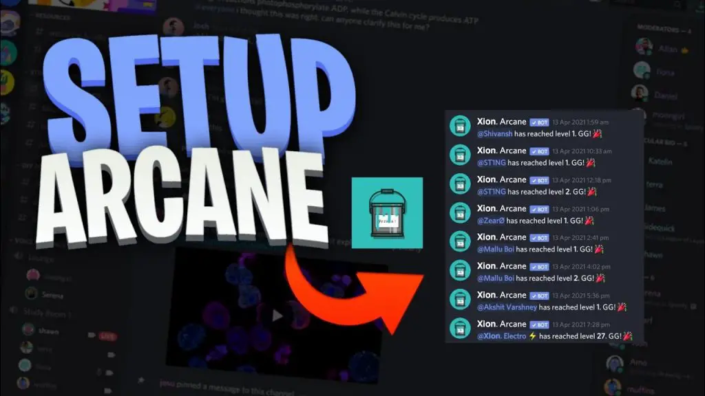 How to Use Arcane Bot Discord; How to Add an Arcane Bot on Discord