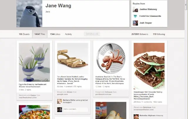 Most Followed Users On Pinterest: Jane Wang