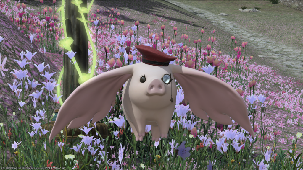 Best Mounts In Final Fantasy XIV - Portly Porxie