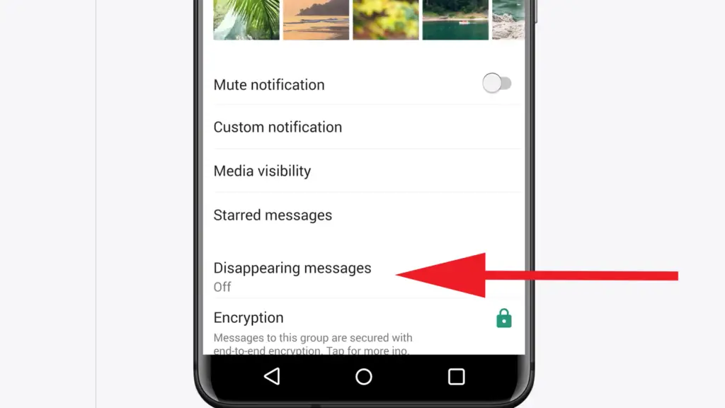 How To Turn On WhatsApp Disappearing Messages Feature In A Particular Chat