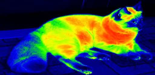 Thermal Night Vision Camera Effect Simulated