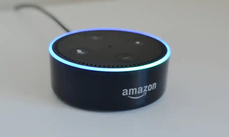 Activate The Alexa Meanie Skill