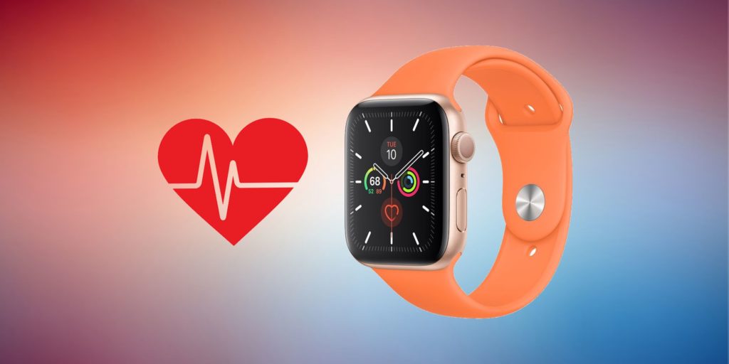 Apple Watch 7 vs SE : Heart Rate Monitor