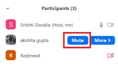 How To Mute One Participant On Zoom