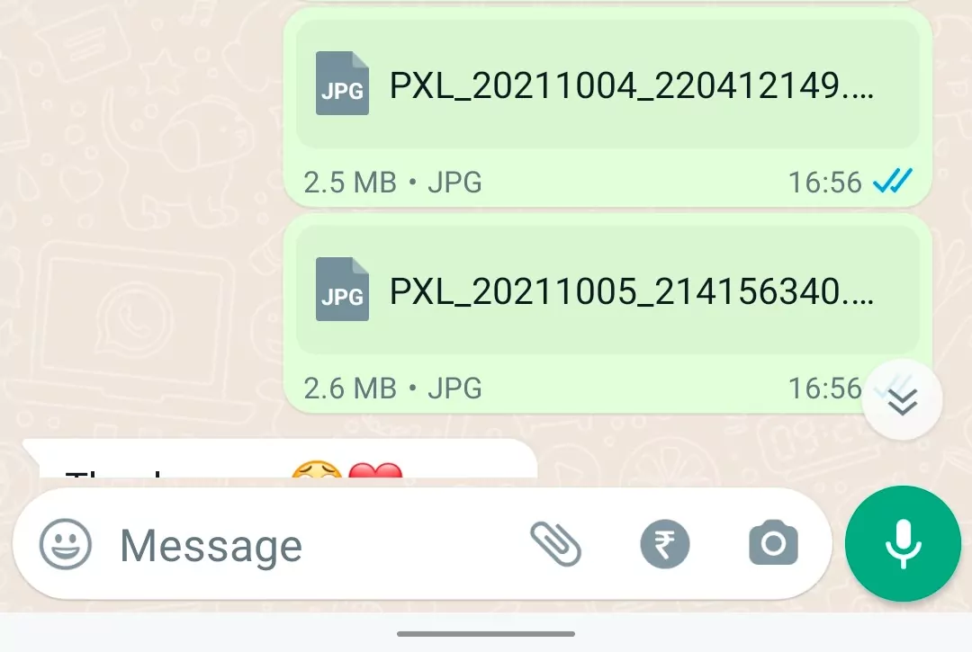 How To Preview Documents On WhatsApp