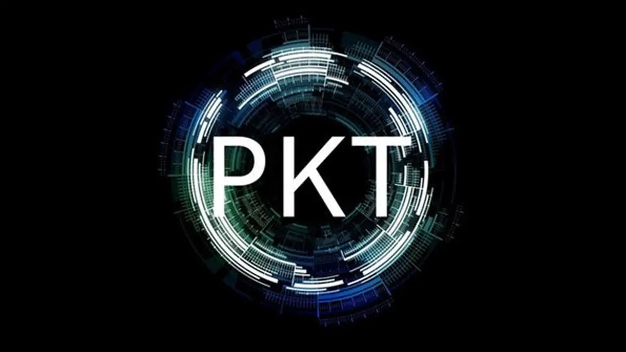 Understanding PKT Cash Crypto