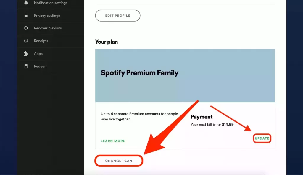 Present Modes Of Payment On Spotify