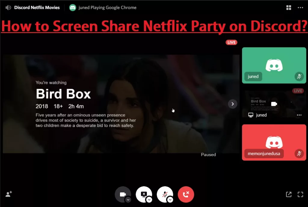 How To Watch Movies On Discord With Friends?