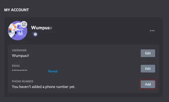 Discord And Phone Numbers