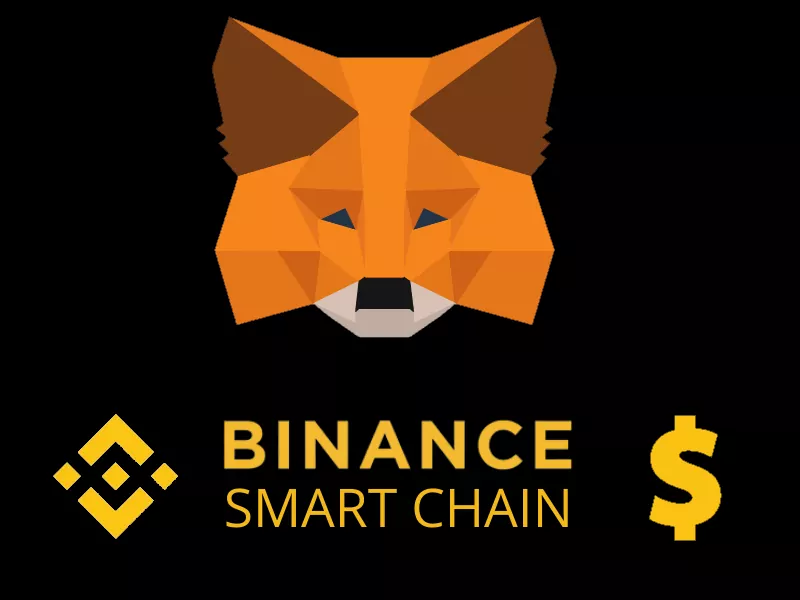 Smart chain. Бинанс метамаск. Binance Smart Chain. Binance Smart Chain METAMASK настройка. Binance Smart Chain открытый исходный код.