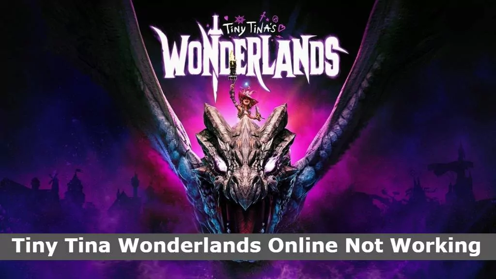 Tiny Tina Wonderlands Online Not Working