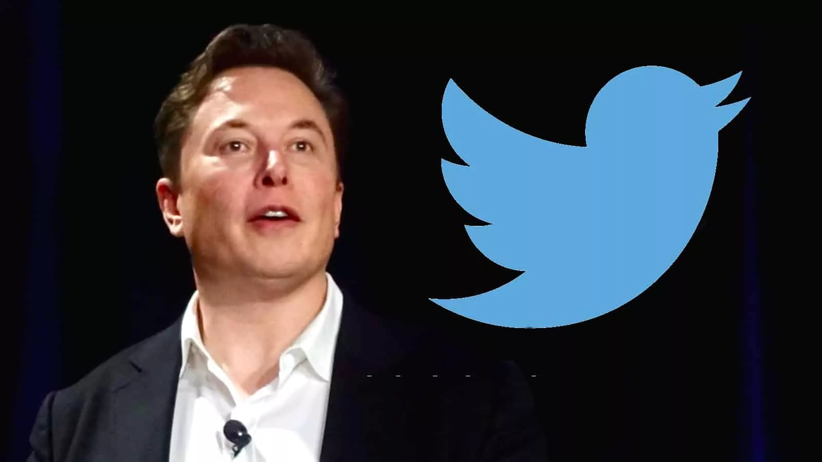 What Is Elon Musk Planning For Twitter