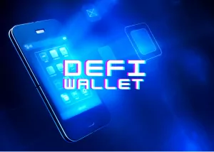What is a Defi wallet