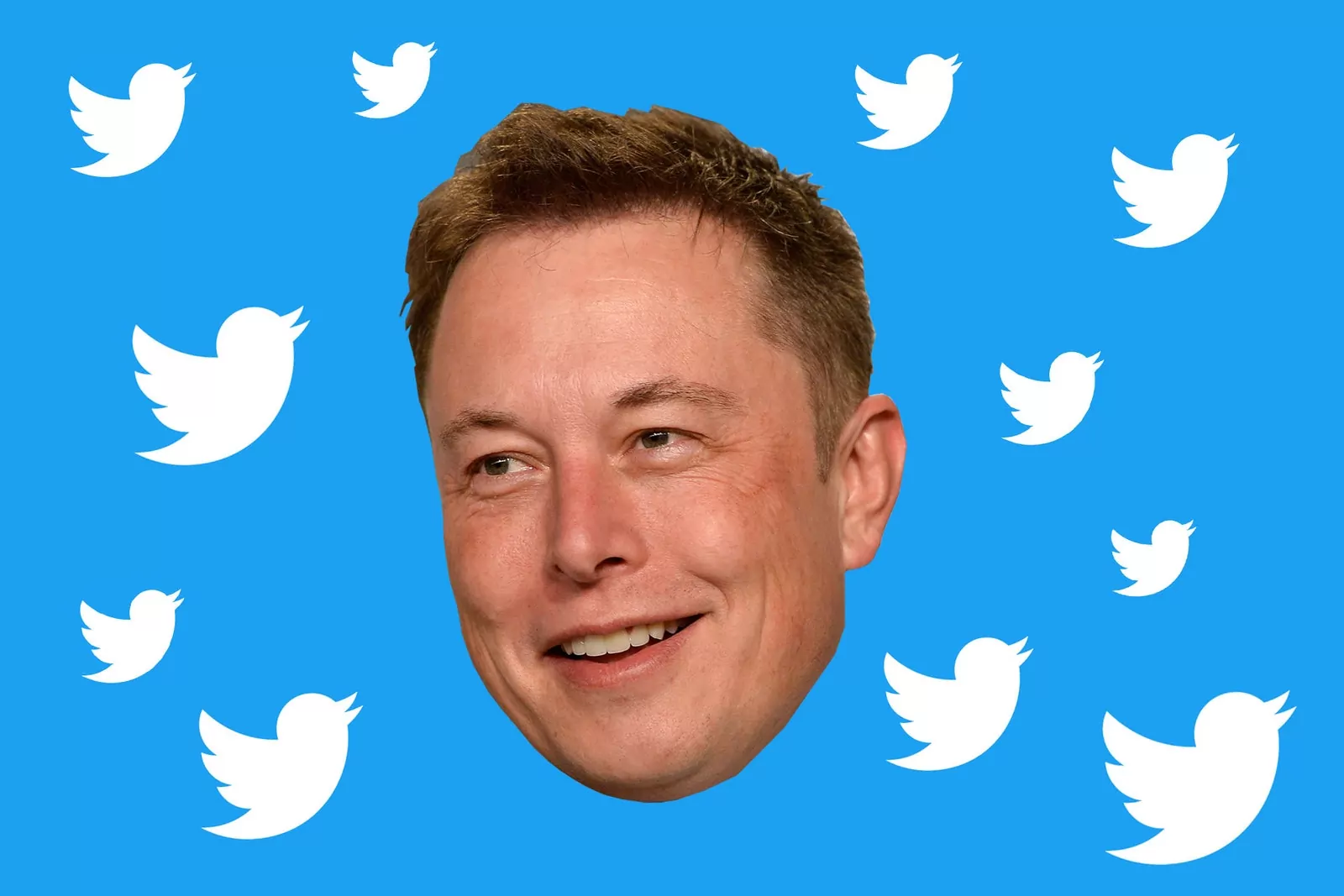 Twitter Announces Elon Musk To Join Board Of Directors | Why?