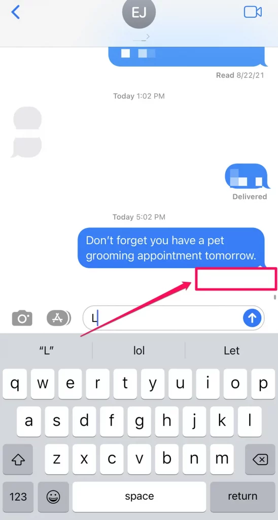 Check The Delivery Status Of Your iMessage?