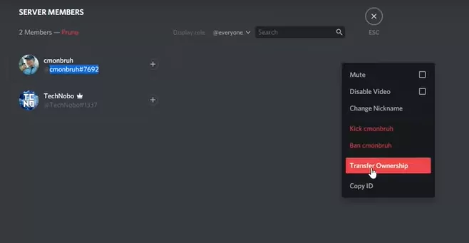 How To Transfer Discord Ownership?