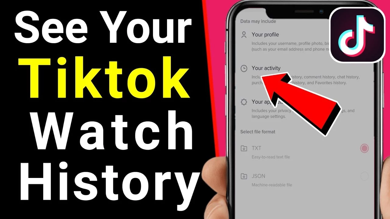 how to see your tiktok view history