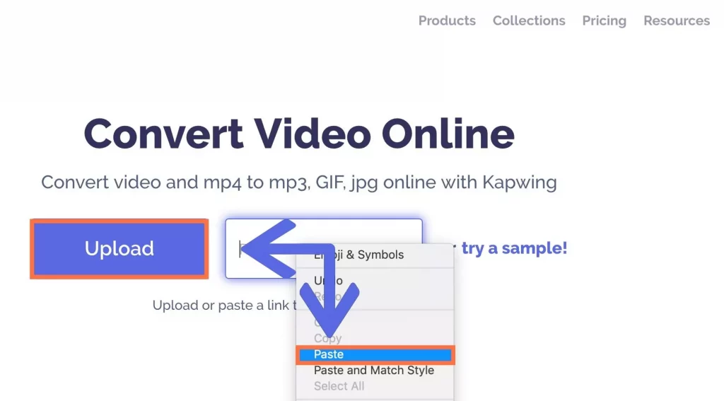 Paste The Link To The Kapwing’s Converter