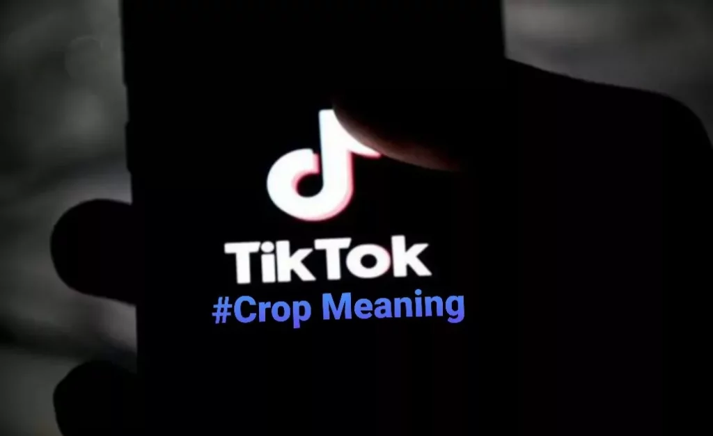 What Does Crop Mean On TikTok?