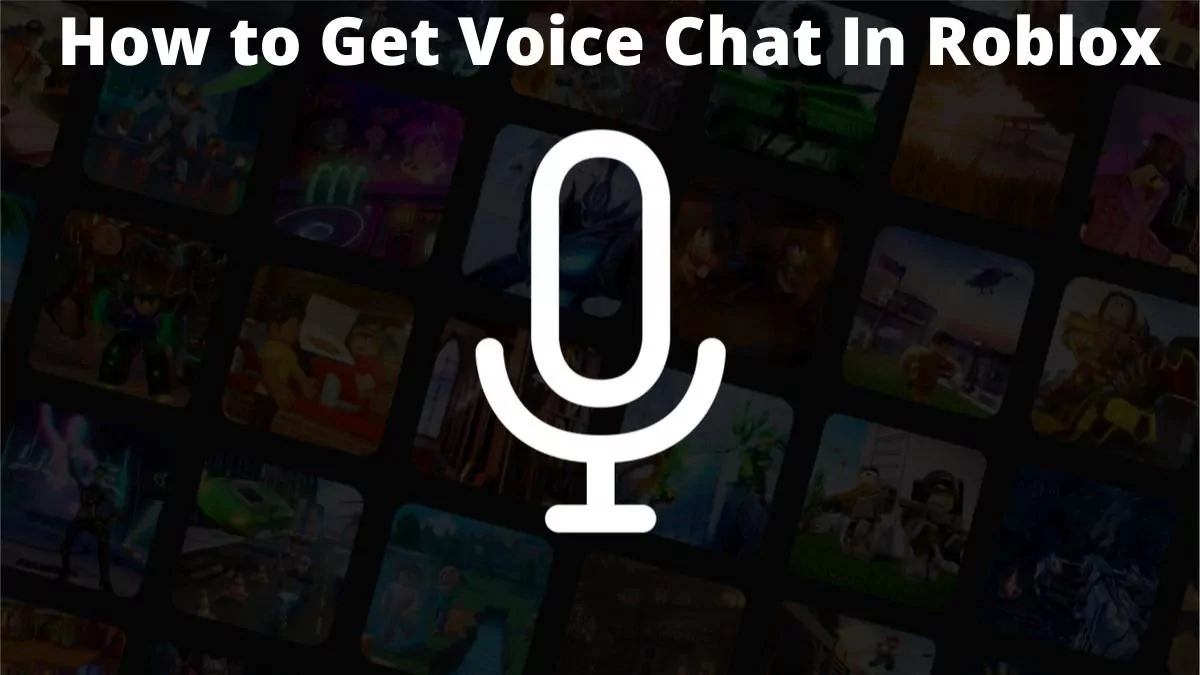 How To Turn On Voice Chat In Roblox Mobile