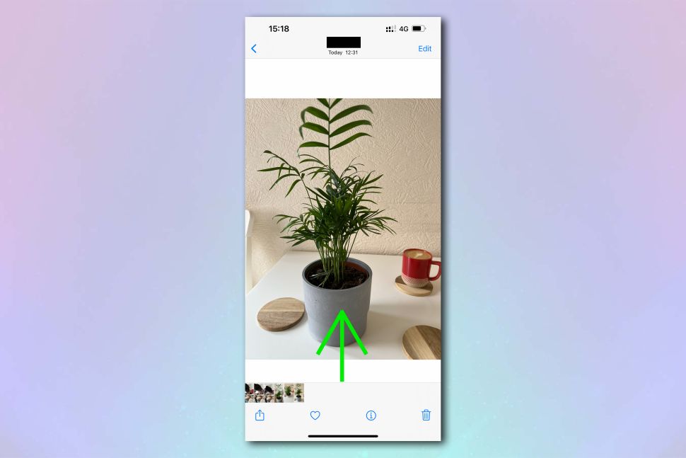 How To Identify Plants And Flowers Using iPhone