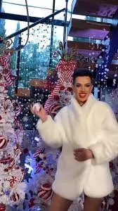 James Charles Christmas Sisters Party 