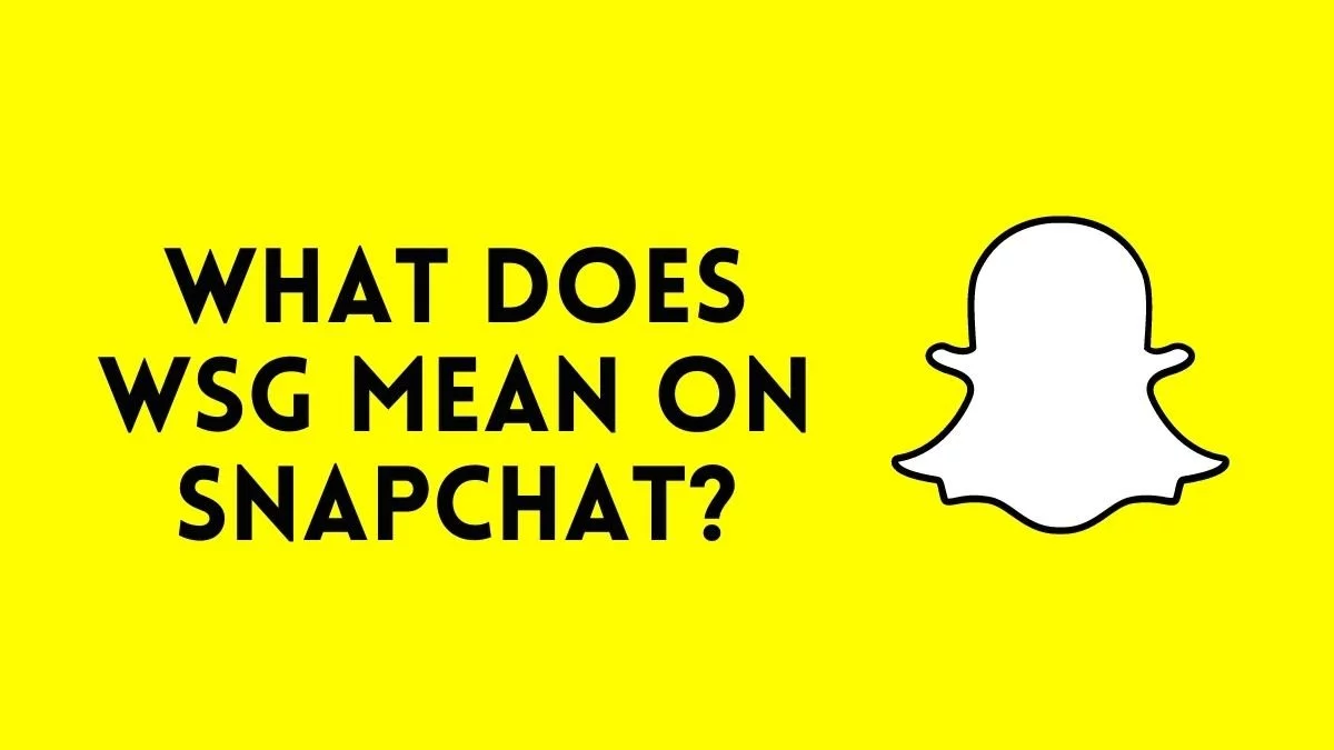 what does wsg mean on snapchat?