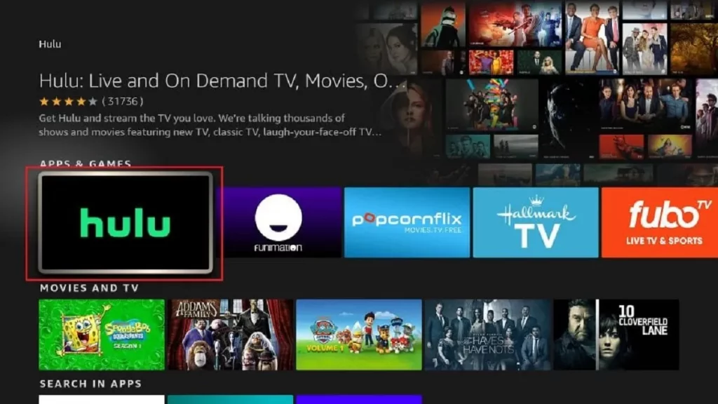 How To Fix Hulu Proxy Error