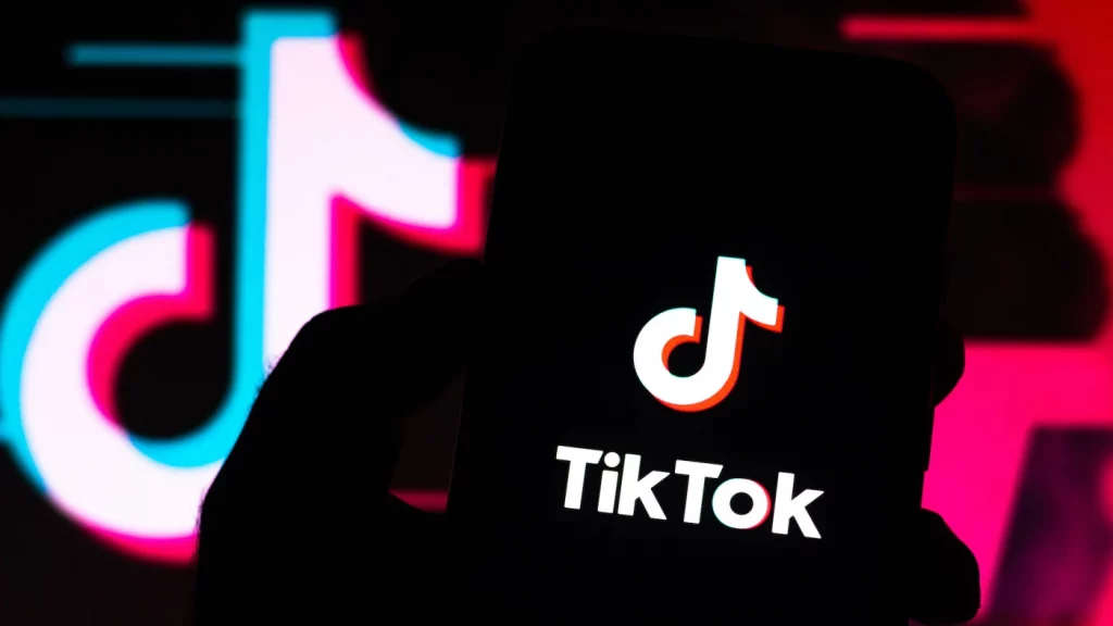 What does NPC mean on TikTok