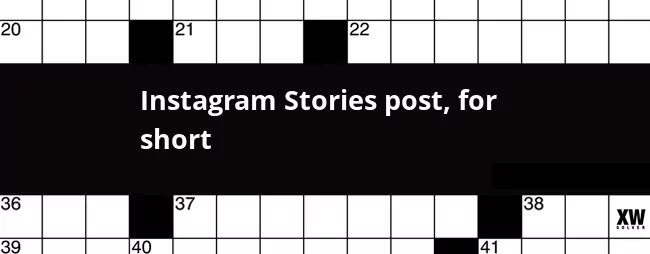 Short Video On Instagram Crossword Clue?