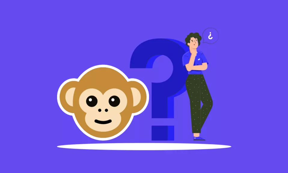 How To Use The Monkey App?