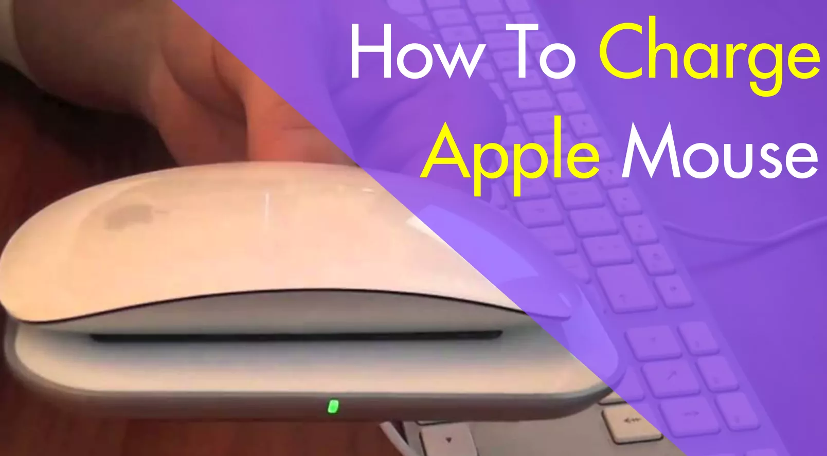 How To Charge Apple Mouse