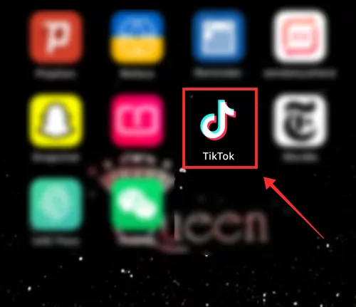 How To Get A Banned TikTok Account Back: Submit An Appeal Form On TikTok