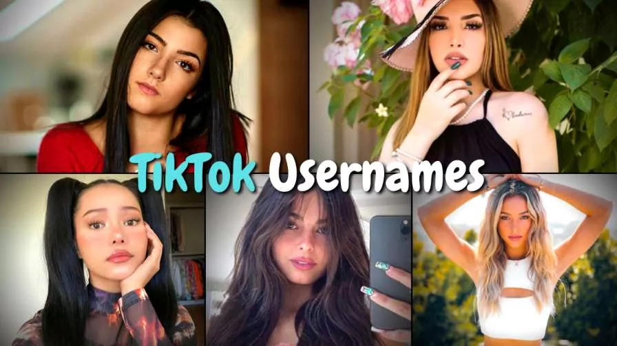 How To Get Rare Usernames On TikTok