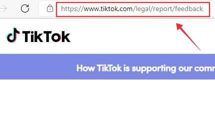 How To Get A Banned TikTok Account Back: Use Share Your Feedback Form To Make An Appeal