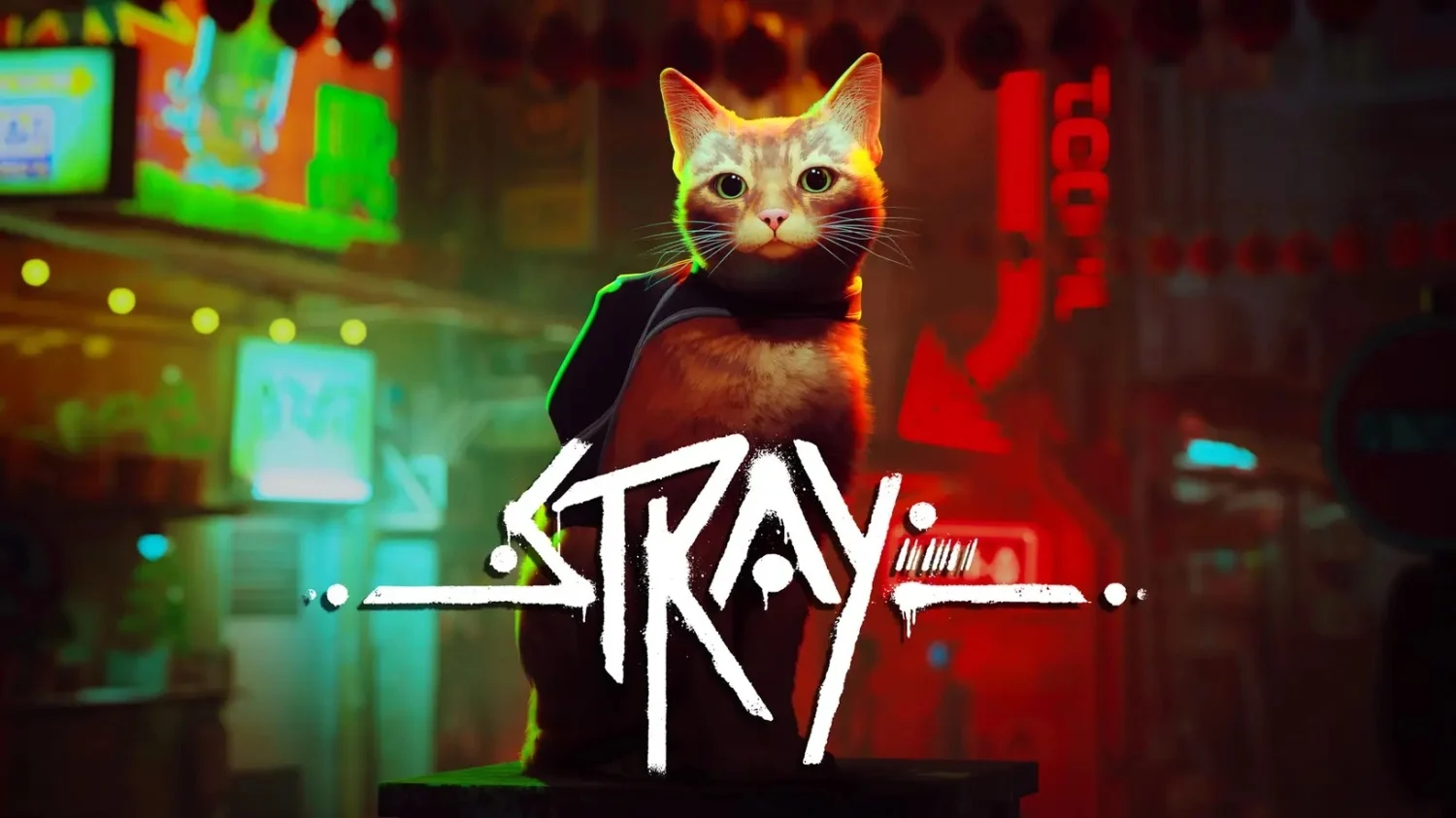 How To Get Stray Game on Xbox