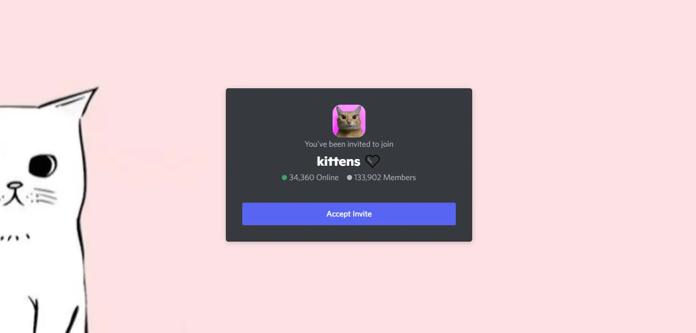 What Is A Discord Kitten