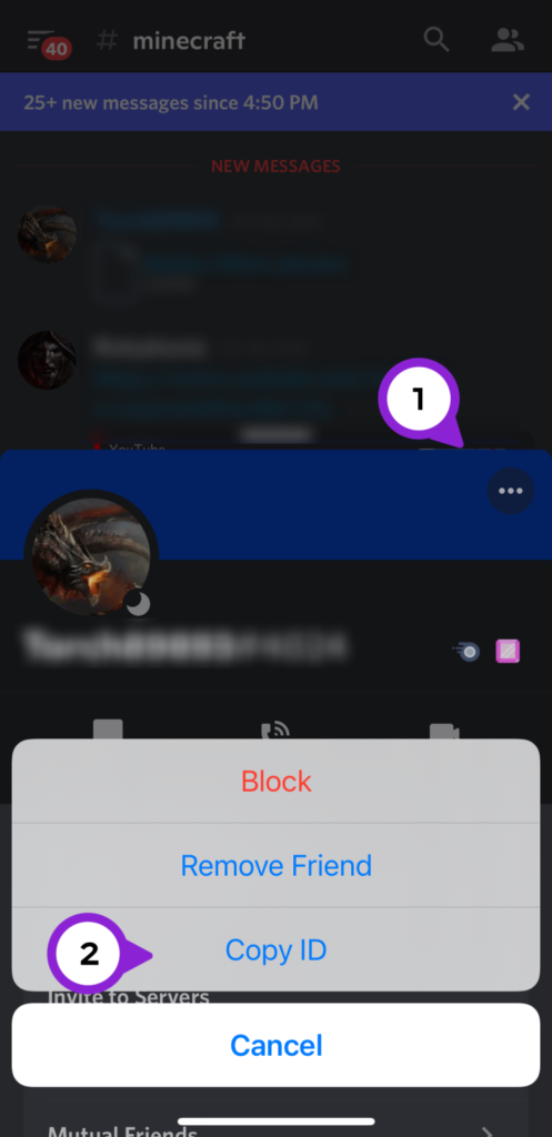 How To Report Someone On Discord For Being Under 13