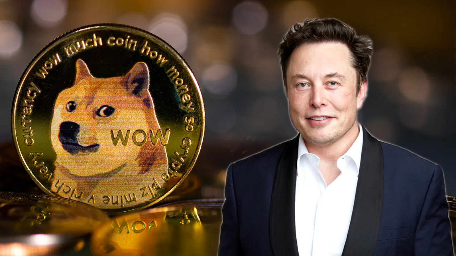 Elon Musk Dogecoin Lawsuit