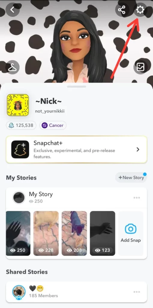 What Does Recents Mean On Snapchat 