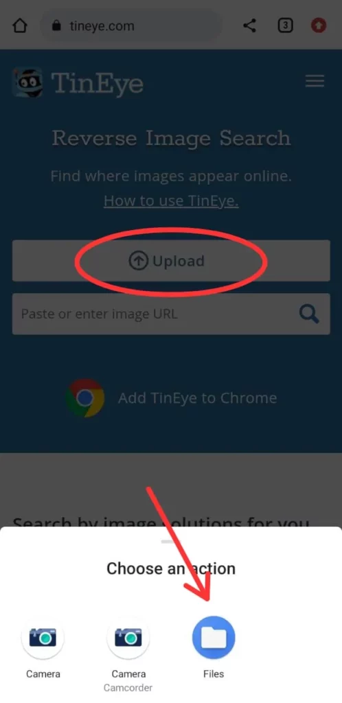 How To Reverse Image Search Instagram?