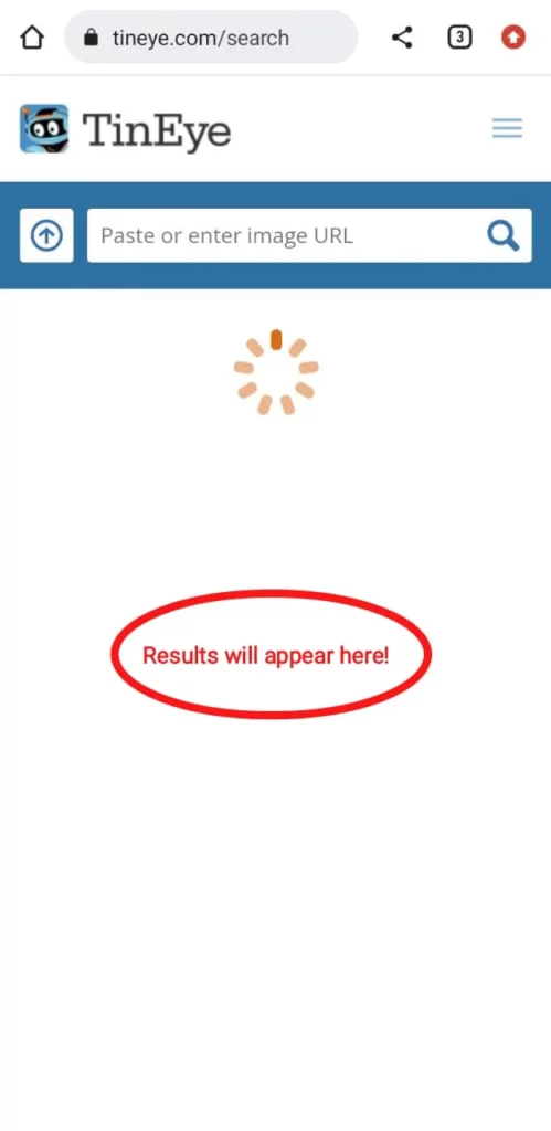 How To Reverse Image Search Instagram?
