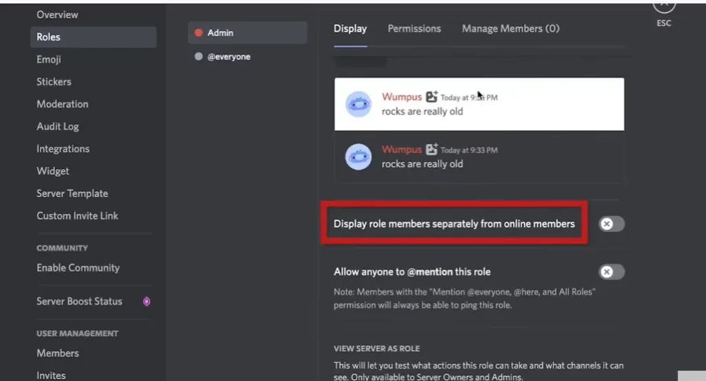 How To Give Someone Admin On Discord: Create The Admin Role